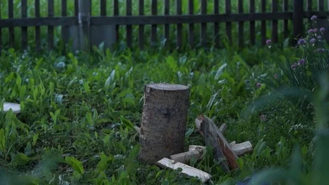 Man chopping wood Stock Footage 77954031