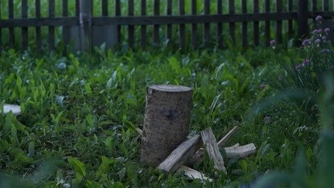 Man chopping wood Stock Footage