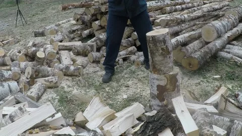 Man chopping wood Stock Footage 145366801