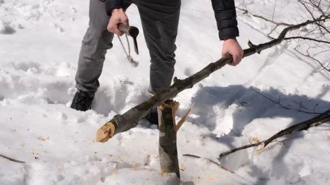 Man chopping wood Stock Footage 183829693