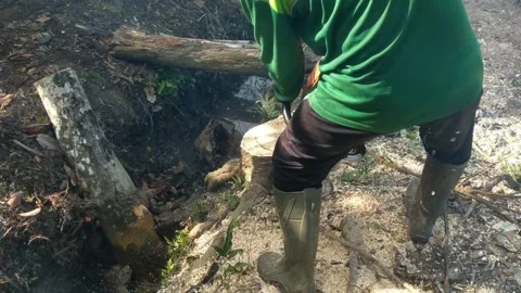 A man is chopping wood Stock Footage 274479631
