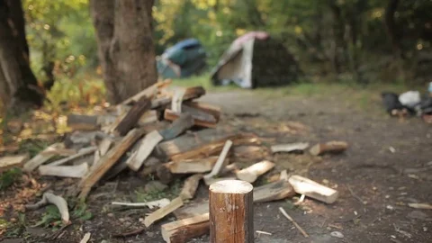 Man chopping wood in the forest Stock Footage 80366198