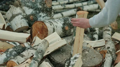Man Chopping Wood Splitting A Log With An Axe Stock Footage 238525006