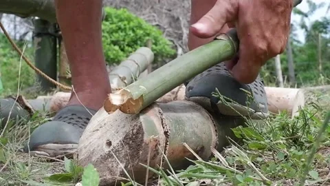 A man chops bamboo with a machete. They build a house. Video stock 158848328