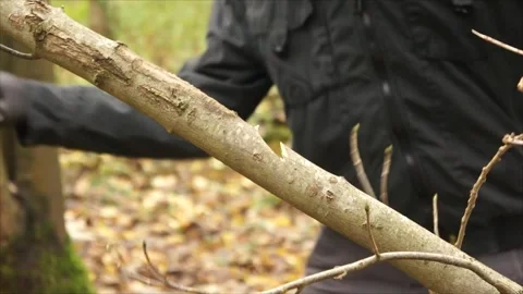 Man Chops Branches with Large Survival Knife. Man Chopping Wood Stock Footage 306535156
