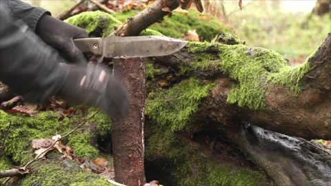 Man Chops Branches with Large Survival Knife. Man Chopping Wood Stock Footage 306535217