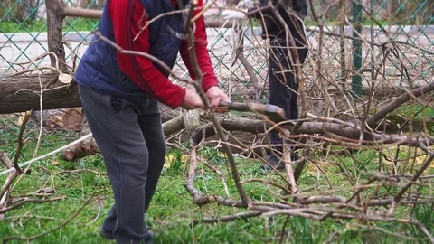 A man chops down with an ax the branches of a tree Stock Footage 105381493
