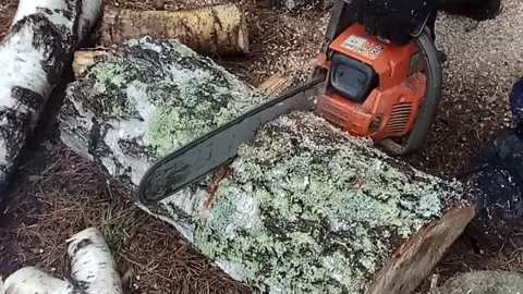 Man chops firewood on backyard. Stock Footage 130258494