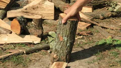 The man chops oak wood with the use of axe. Stock Footage 206444166