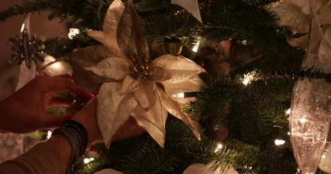 Man Christmas Tree Decorating with a Wreath Video stock 83100745