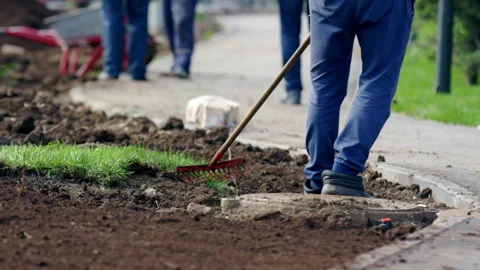 Man city worker grinds and levels soil with rakes in park Stock Footage 243659794