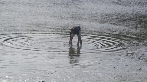 Man Clamming in Cape Cod Stock Footage 79406761