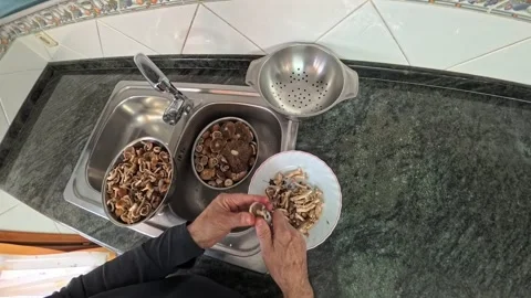 Man cleaning and preparing wild mushrooms in a kitchen sink Vidéo 335103388