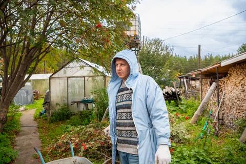Man cleaning cut rowan branches in backyard. Seasonal tree pruning Fotos Stock