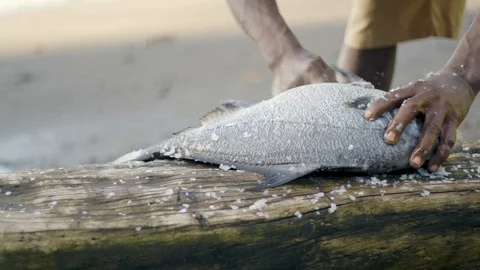 Man Cleaning Fish 4K 29.97 Stock-Footage 100601324