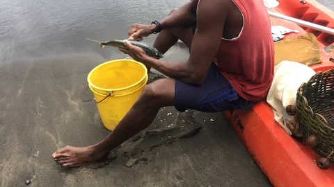 A man cleaning fish Stock Footage 97004046