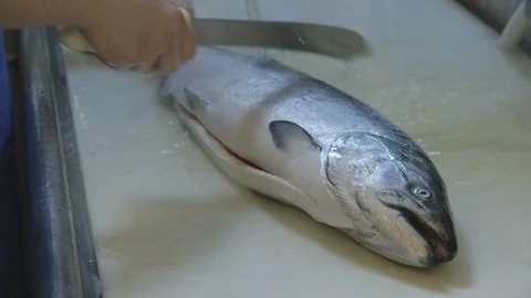 Man cleaning a fish Stock Footage 104867854