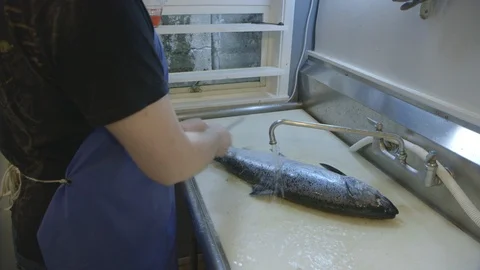 Man cleaning a fish Stock Footage 104867903