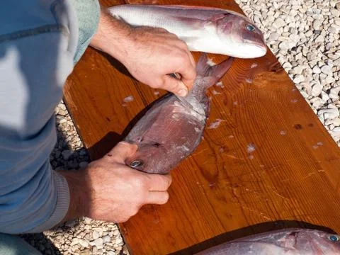 Man cleaning fish Stock Photos