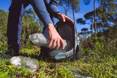 Man cleaning-up forest of plastic garbage. Green and clean nature. Planet care Stock Photos