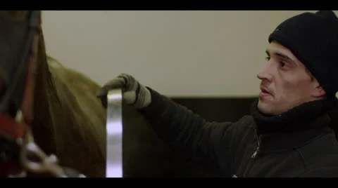 MAN CLEANING HORSE Stock Footage 25122310