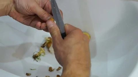 Man cleaning mushrooms Stock Footage 80189291