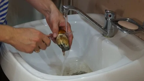 Man cleaning mushrooms Stock Footage 80189660