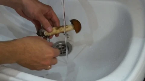 Man cleaning mushrooms Stock Footage 80213238