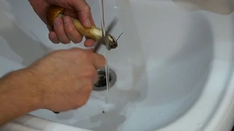 Man cleaning mushrooms Stock Footage 80248714