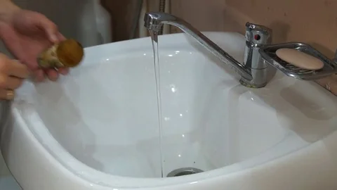 Man cleaning mushrooms Stock Footage 80248801