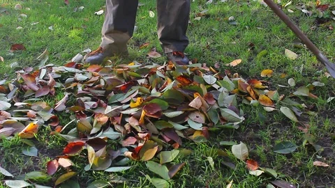 A man cleans autumn leaves in the yard with a broom. beginning of autumn. Stock Footage 119077793