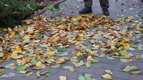 A man cleans autumn leaves in the yard with a broom. beginning of autumn. Stock Footage 119078080