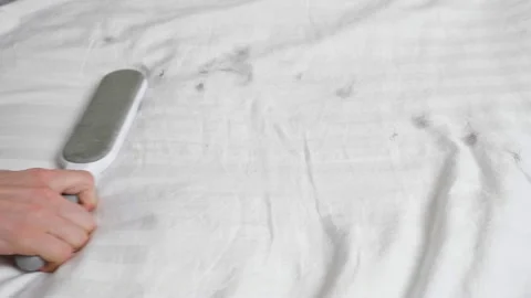 Man cleans dirty blanket with electrostatic clothing brush Stock Footage 146570947