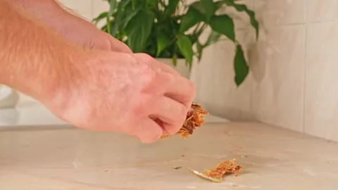 A man cleans dried fish in the kitchen. The guy separates the meat and bones of Stock Footage 246915755