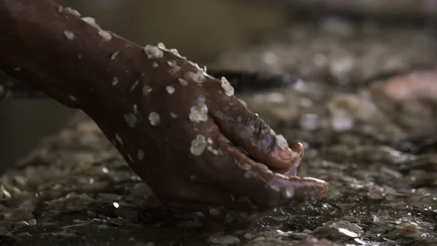 Man cleans fish on a stone with a knife Stock Footage 261177777