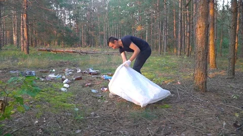 Man cleans garbage in forest Stock Footage 118264774