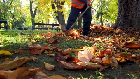 A Man Cleans the Leaves in the Park at Sunset, 4K Stock-Footage 143742248