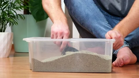 The man cleans the litter box. Hand holds a scoop with lump. Clumping filler. Stock Footage 168908657