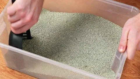The man cleans the litter box. Hand holds a scoop with lump. Clumping filler. Vidéo 168908688