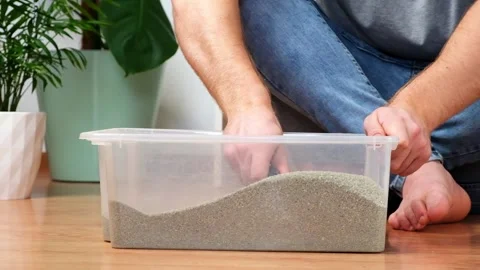 The man cleans the litter box. Hand holds a scoop with lump. Clumping filler. Stock Footage 169251563