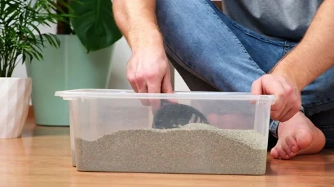 The man cleans the litter box. Hand holds a scoop with lump. Clumping filler. Video stock 169608424