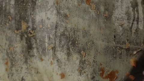 A man cleans the old concrete clay walls of old wallpaper with a spatula close u Video stock 104775692