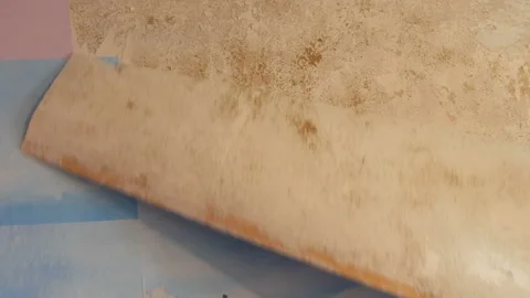 Man cleans or peels the wall from old wallpaper Stock Footage 105551774