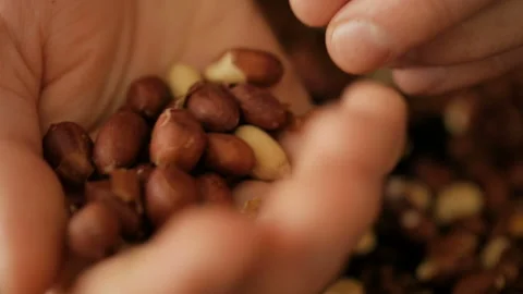 Man cleans roasted peanuts. Close-up. 스톡 동영상 105508651