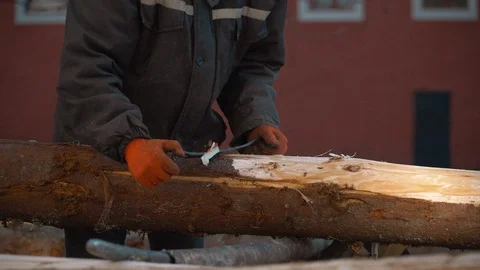 Man cleans the tree of bark Stock Footage 89604324