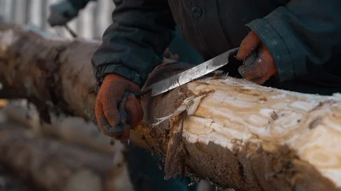 Man cleans the tree of bark Stock Footage 89604782