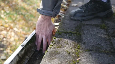 Man Cleans Ugly Old Mossy Full Gutter Stock Footage 320852975