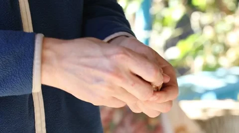 Man cleans walnut Stock Footage 55970872