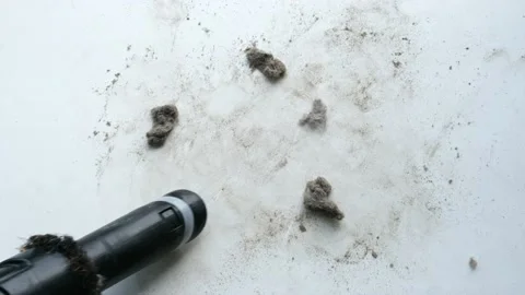 A man cleans the white surface of the dust with a vacuum cleaner. Stock Footage 133336657