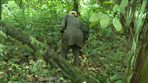 Man Clearing Brush in Forest with Machete in Rural Ghana Vídeos de archivo 39108181